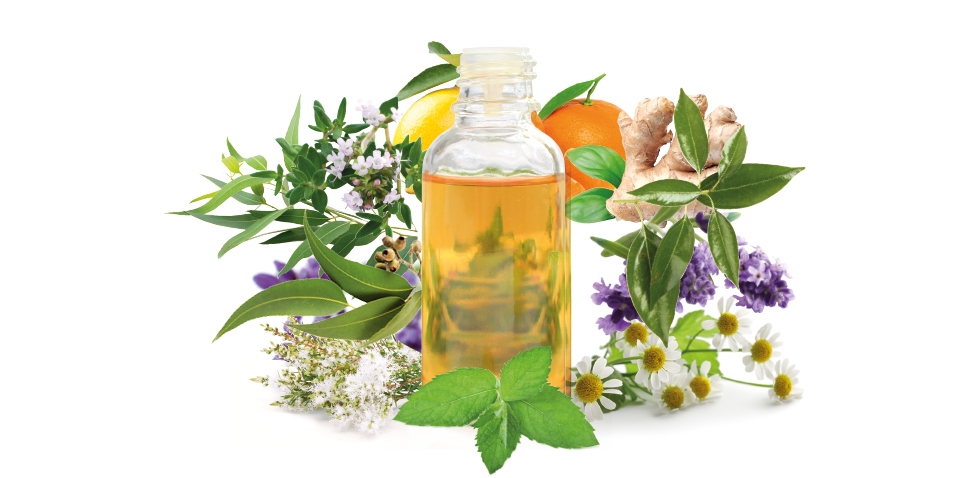 Los 12 aceites esenciales para comenzar con aromaterapia